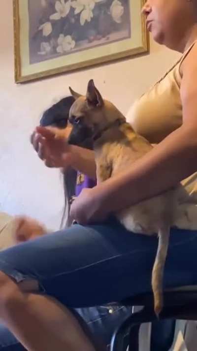 thanks hooman