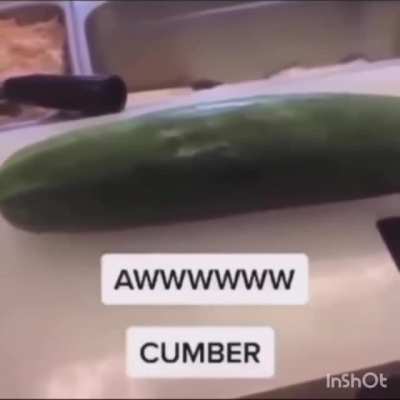 The cucumber lid cucumber lid