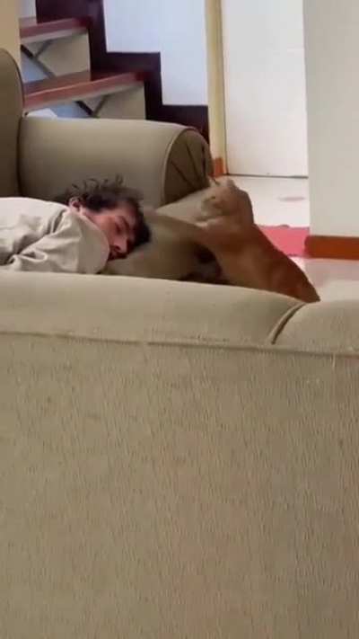 You shall not sleep