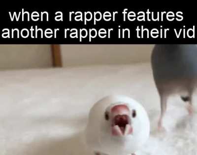 spittin bars