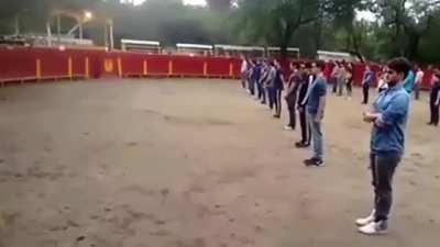 Teacher shows that a bull won’t attack anyone if everyone remains calm
