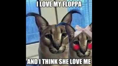 floppa drip