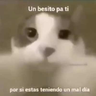 ❤️❤️