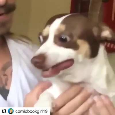 We can't forget Mr Bubbs