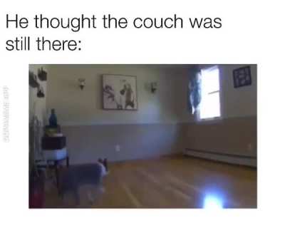 where’s our couch?