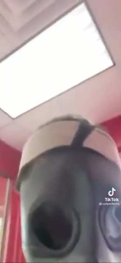 A beauty from TikTok