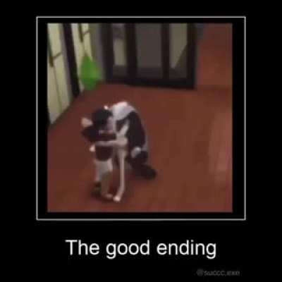 Sigma Dog mindset