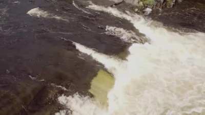 A new perspective of Whitewater