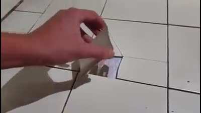 Aas