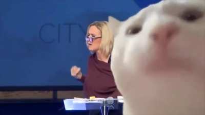 Духов<wbr>ный совет<wbr>ник Трампа Паула Уайт и её молитва за победу на выборах