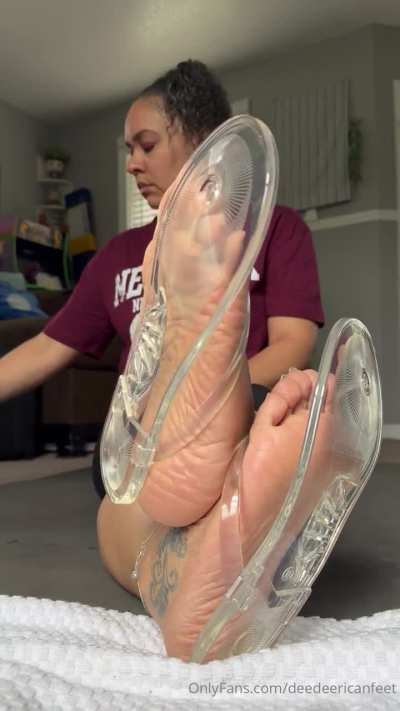 Clear 🪼 Jellies