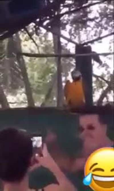 😂