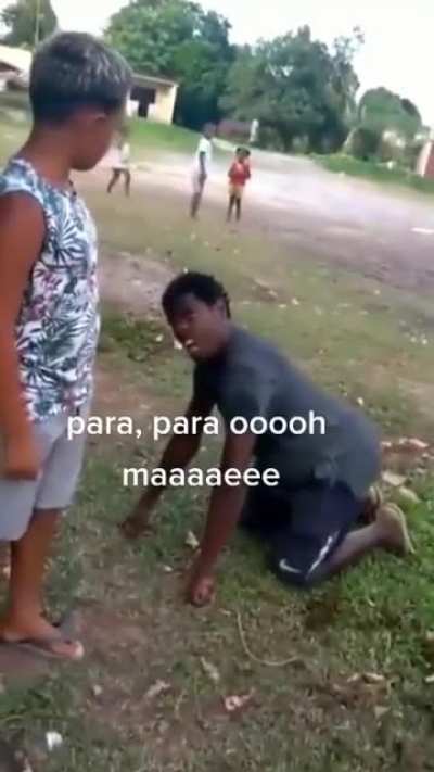 lembramos tanto de combater o covid e esquecemos da raiva :(