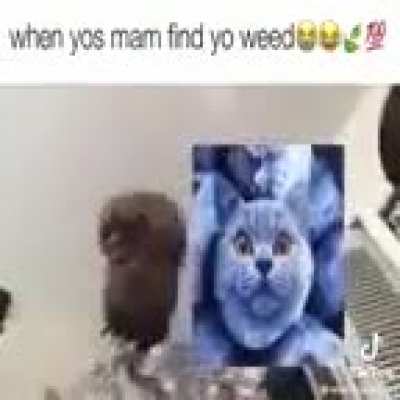 Me