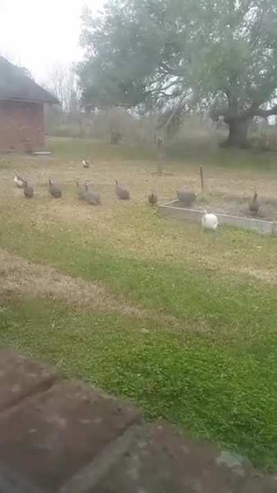 Every single fucking day I have to wake up to this