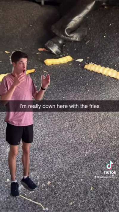 How many fries are under your seat?
