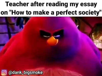 Perfect society