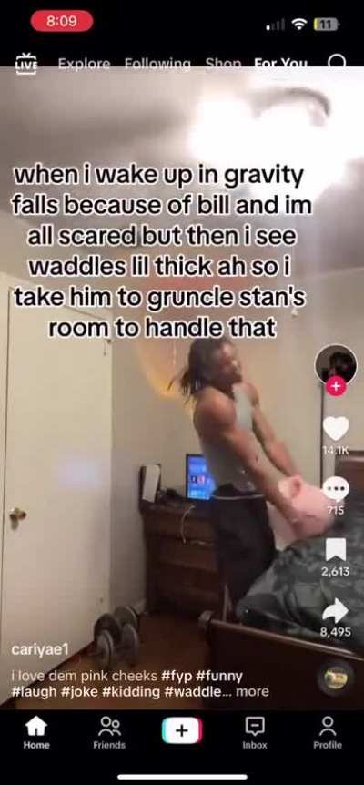 Losercity TikTok