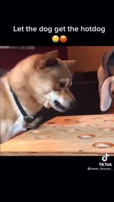Yummy Hotdogs