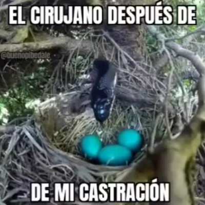 😋😋