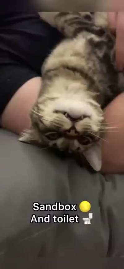 maybe maybe maybe
