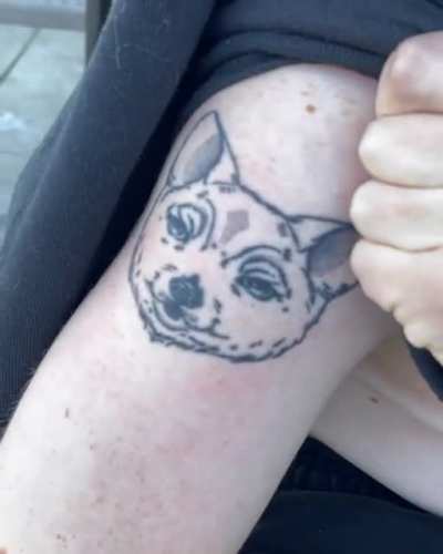 Guy goes in for a wolf tattoo and gets this instead