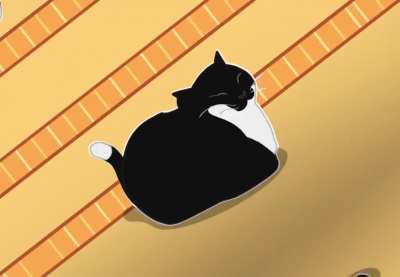 Maxwell Cat