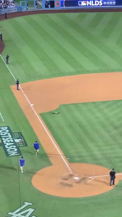 [Highlight] [highlight] grounds crew capture the goose and take it away in a trash can