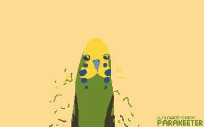 I made an animation of my budgie! :)