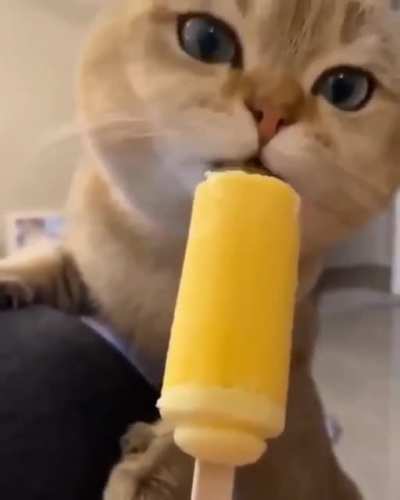 Popsicles are soo good!