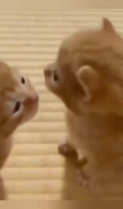 Eepy wunkus