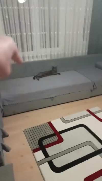 Iam just said come back here