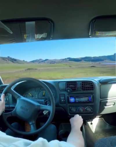 Car go vroom
