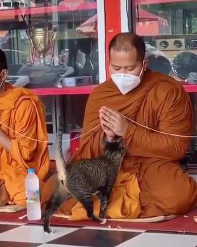 Pets now, pray later