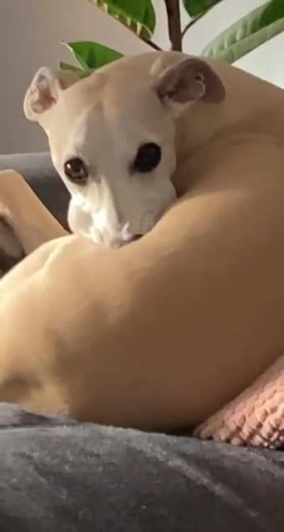 Just chillin’