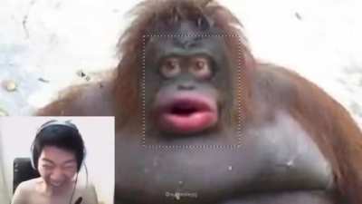 ✝️