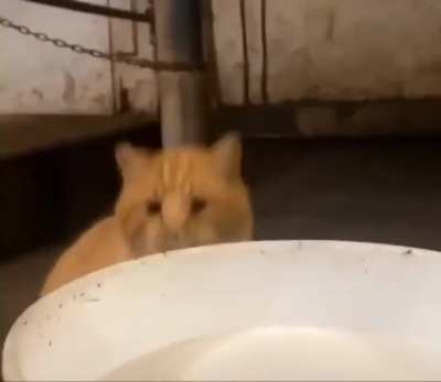 Caught in the act