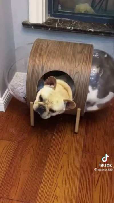 Would this be considered a French oven?