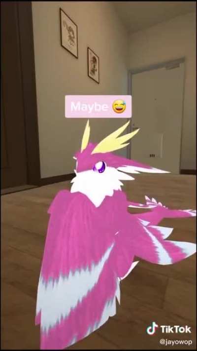 furry_irl