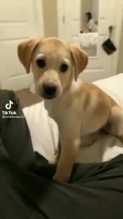 ª