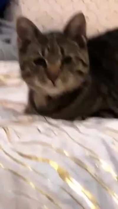 You want food?