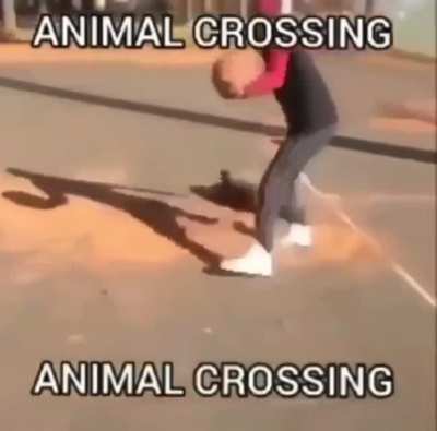 Animal Crossing