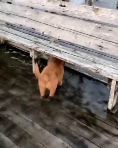 Плюх