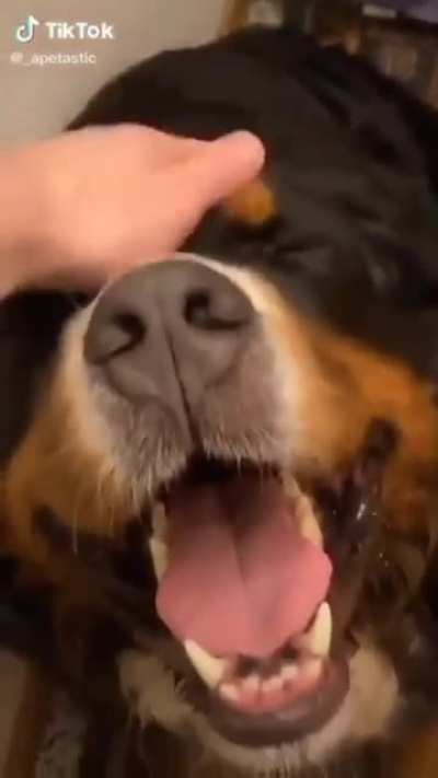 A penny for this boi's thoughts