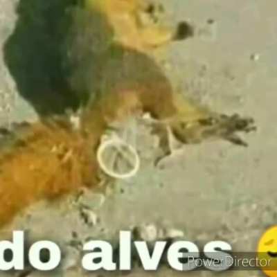 F chat