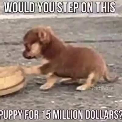 yes.