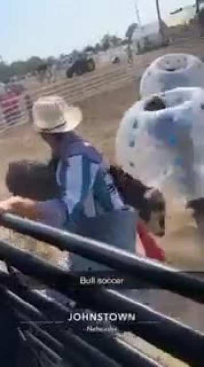 sure beats bull fighting...
