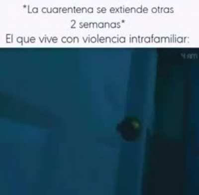 xd