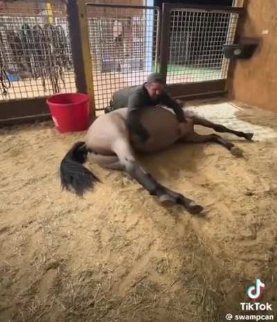 That must have felt amazing