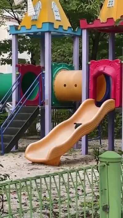 Whee!